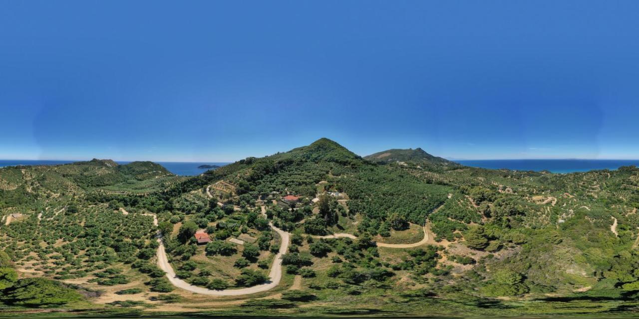 Country House Dafni Vasilikí Dış mekan fotoğraf